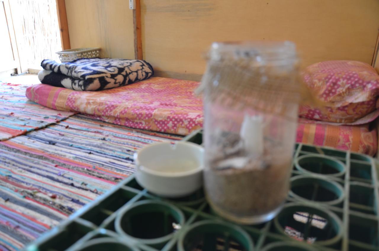 Sakratah Camp - Eco Friendly Hotel ตาบา ภายนอก รูปภาพ